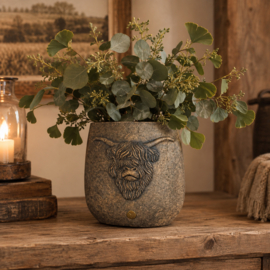 Brynxz hooglander ovale pot (klein)