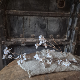 Kunsttak Cardamine / Veldkers