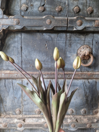 Kunsttulpen bosje groen (knop)