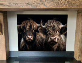 Spatscherm Hooglanders 60x90cm