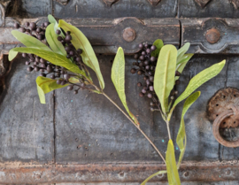 Berry spray kunsttak donkerpaars