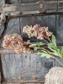 Hydrangea kunsttak bruin