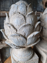 Artisjok op voet (groot)