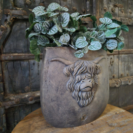 Brynxz hooglander ovale pot (groot)
