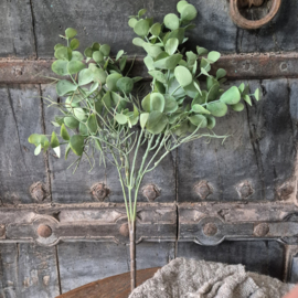 Eucalyptus kunstbosje