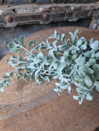 Lonicera bush grey kunsttak