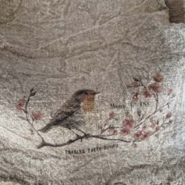 Shabby doek Roodborstje op tak (gekleurd)