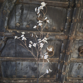 Kunsttak Cardamine / Veldkers