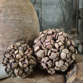 Rota bol bakuli (groot)
