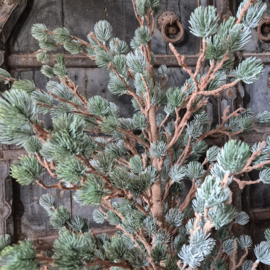 Larix kunstboom M