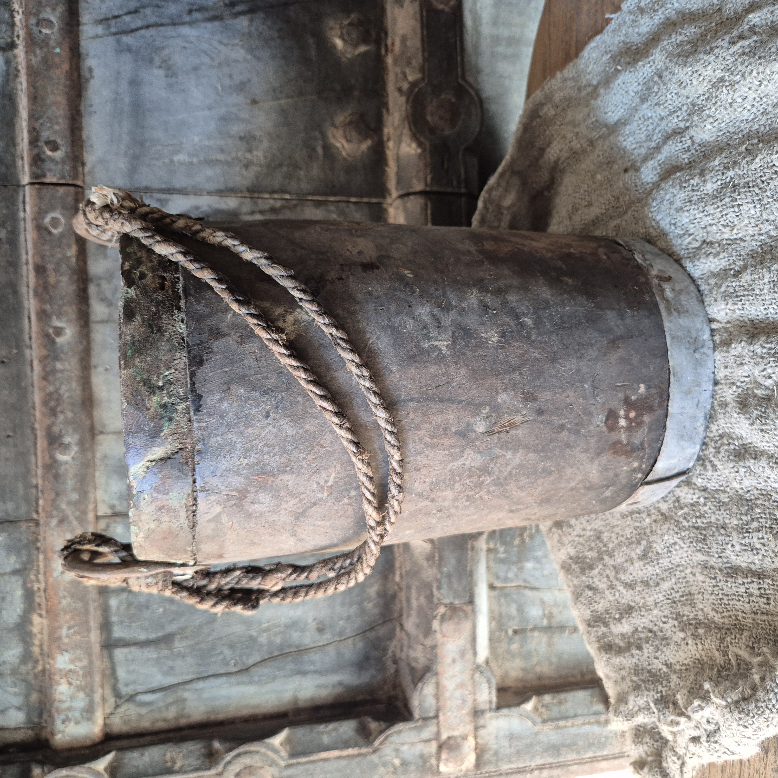 Nepalese emmer L 10
