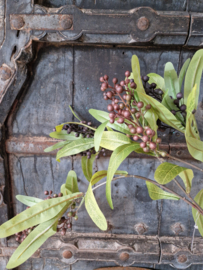 Berry spray kunsttak bruin