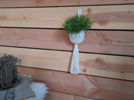 Macrame plantenhanger May 2