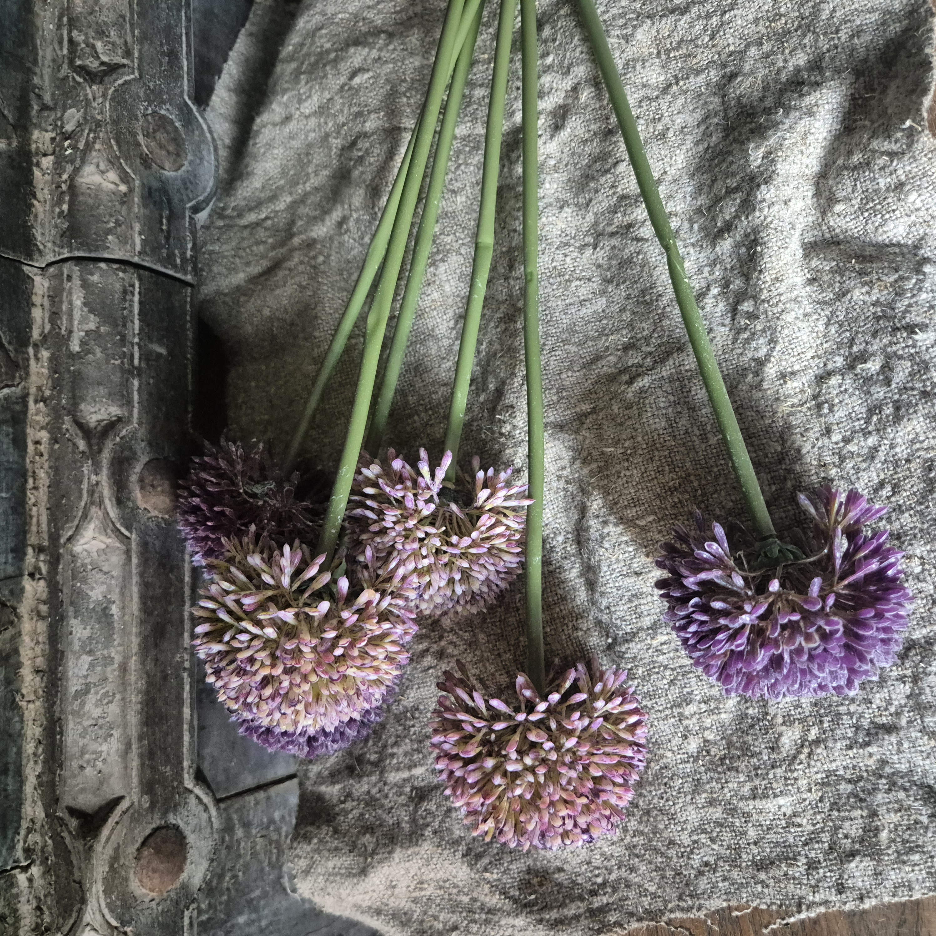 Allium kunsttak violet