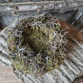 Bonsai moskrans met bodem