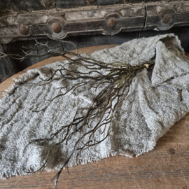 Sober bosje takken Myrica