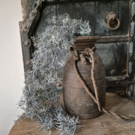 Tillandsia kunsthanger