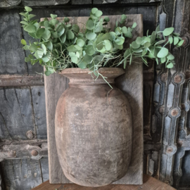 Eucalyptus kunstbosje