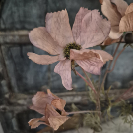 Kunsttak cornus kousa bruin