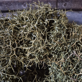 Sobere krans / iron bush