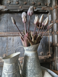 Kunsttulpen bosje grijs
