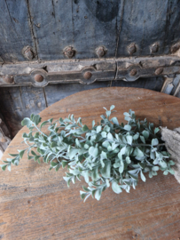 Lonicera bush grey kunsttak