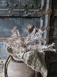 Juniperus bronze kunsttak