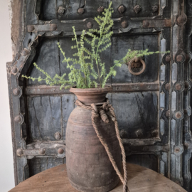 Asparagus kunsttak