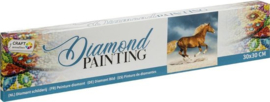 Diamond Painting horse 30x30