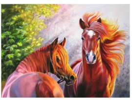 Diamant painting 40x50 cm Paard