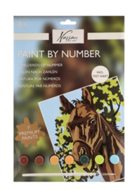 Paint by number Paard