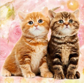 Diamond Painting 5D - Twee schattige kittens - 30x30 cm