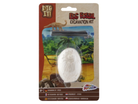 Fossil Excavation kit Egg Fossil