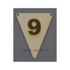 vlagletter 9 (1, dicht)