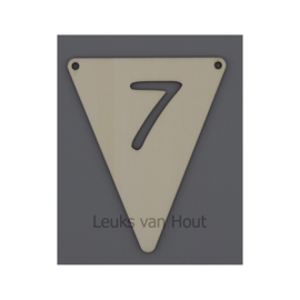 7 (type 2, zilver)