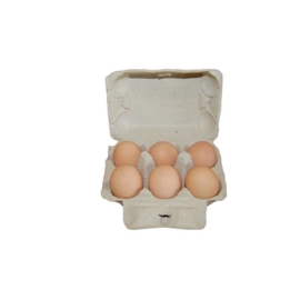 6 scharreleieren eieren