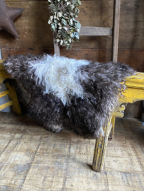 Vacht gekruld bergschaap