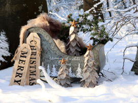 Signs Merry Christmas