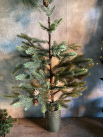 Kerst