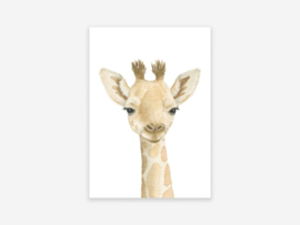 *Giraf - Appeloogje*