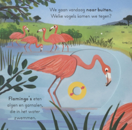 *(schuifboekje) Vogels - Anne-Kathrin Behl*