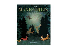 *In de maneschijn - Britta Teckentrup*