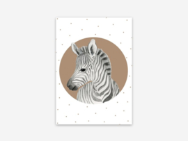 *Zebra - Appeloogje*
