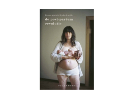 *de post-partum revolutie - kirsten ginckels*
