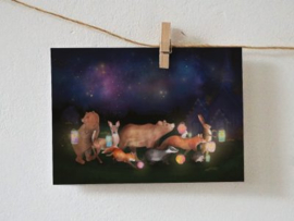 *Lampionnentocht - Lotte Drouen*