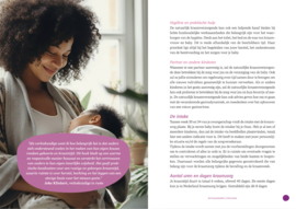 De Kraambubbel - Maria Bom, Ellen Zwanepol