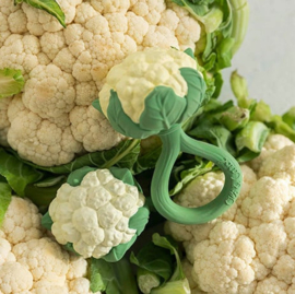 *Cauliflower rammelaar - Oli & Carol*