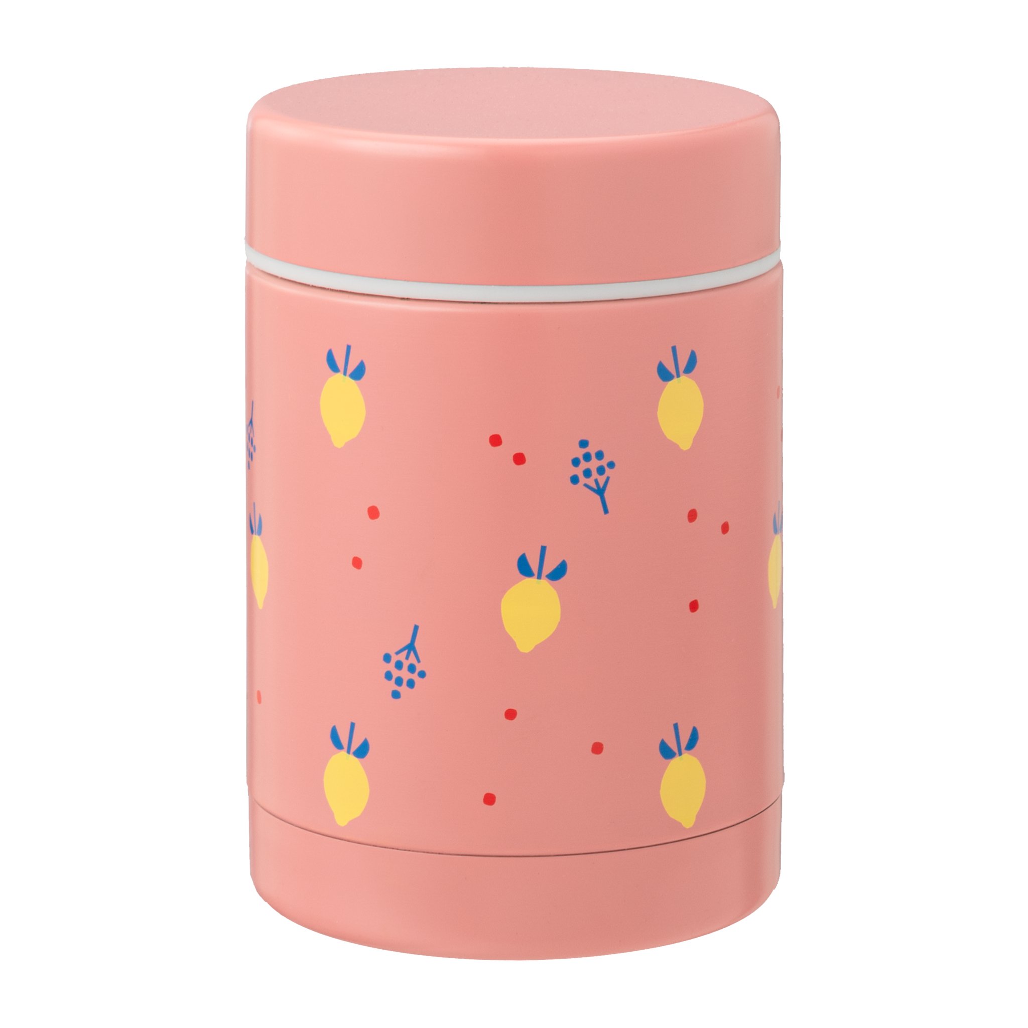 *Thermos food jar summer fruit (300 ml) - Fresk*