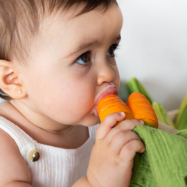 *Cathy the Carrot bijtspeeltje/doudou - Oli & Carol*