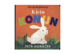 *(flapjesboekje) Klein konijn - Petr Horacek*